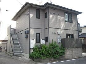 ウィルコットンの外観
