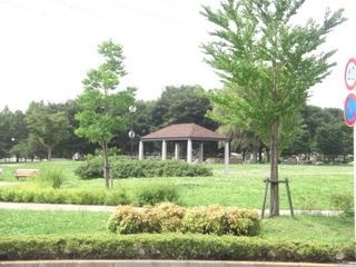 公園