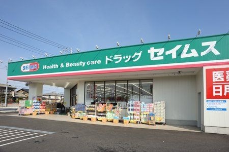 写真：ドラッグセイムス太田新井町店