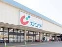 カワチ薬品足利南店