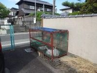外観写真(昼)