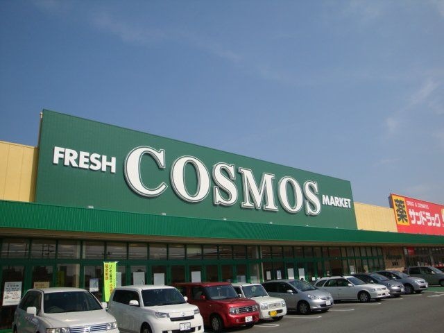 コスモス島崎店