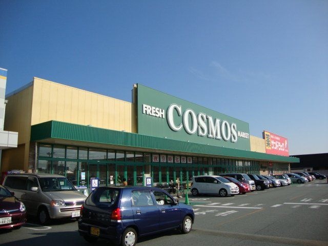 コスモス島崎店