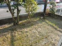 専用庭