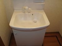 シャンプードレッサー