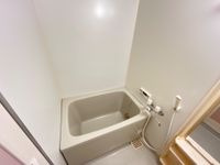 バス