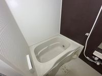 バス