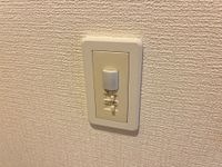 人感センサーライト(玄関)
