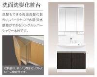 洗面洗髪化粧台(イメージ)