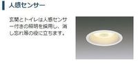 センサー付照明(イメージ)