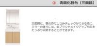 洗髪洗面化粧台(イメージ)