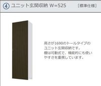 玄関収納(イメージ)