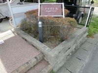 ブライトK