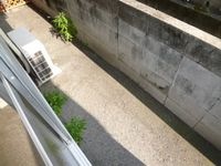 テラス(イメージ)