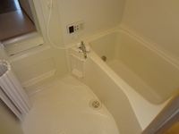 バス