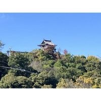 犬山城を一望