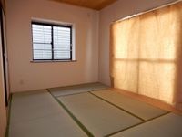 和室6.0帖