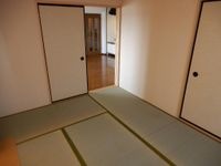 和室6.0帖