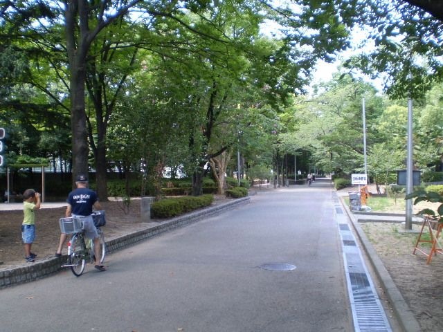 中の島公園