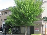 外観写真（昼）