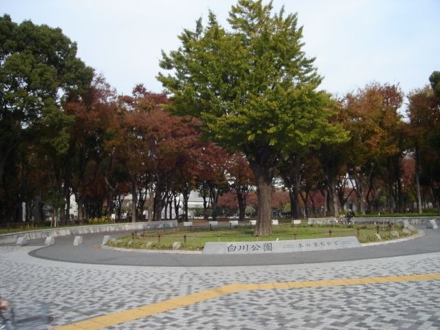 写真:白川公園