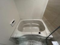 バス