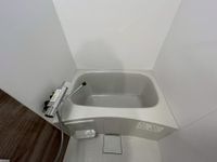 バス