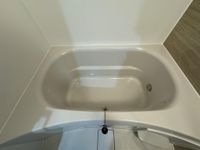 バス