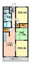 徳島市南佐古六番町の間取図