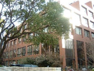 大阪国際大学