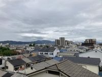 南向きバルから