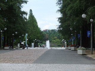 写真：鶴見緑地公園
