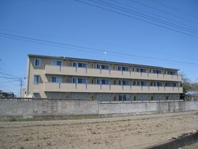 オルタシア カツラの外観