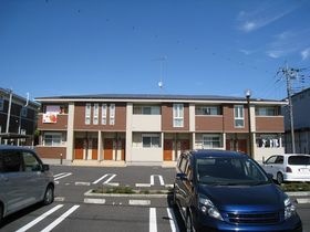 白根葵の外観