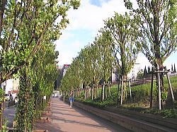 江坂公園