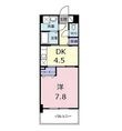 グロリオーサの間取図