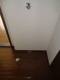 洗濯機置場