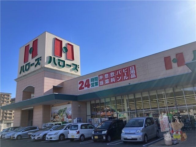 ハローズ瀬戸店