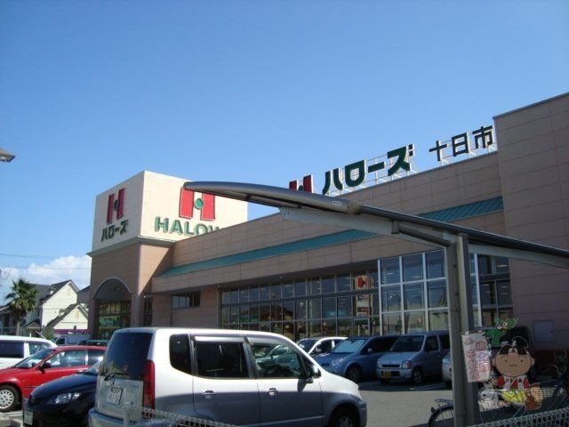 ハローズ十日市店