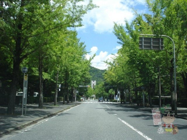 写真：国立岡山大学