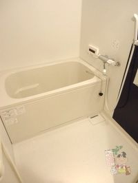 バス