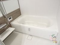 バス