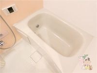 バス