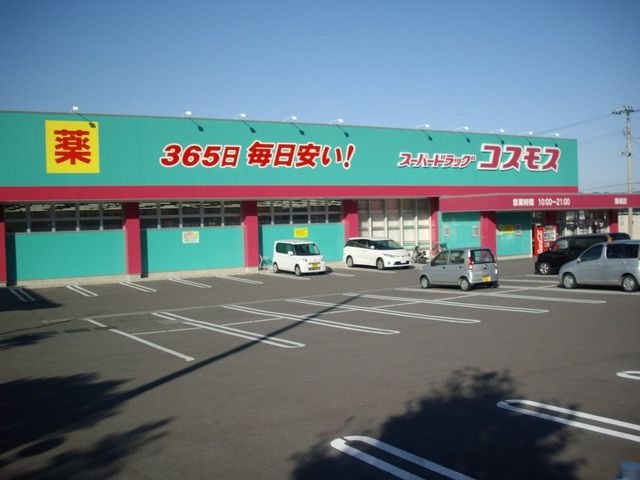 コスモス