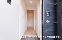 同型タイプ(イメージ)