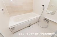 同型タイプ(イメージ)
