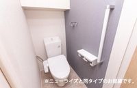 同型タイプ(イメージ)