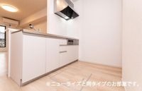 同型タイプ(イメージ)
