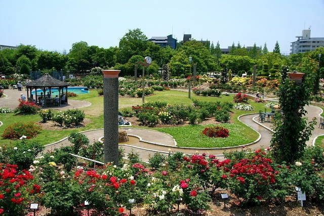若園公園