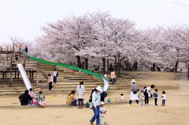 水尾公園